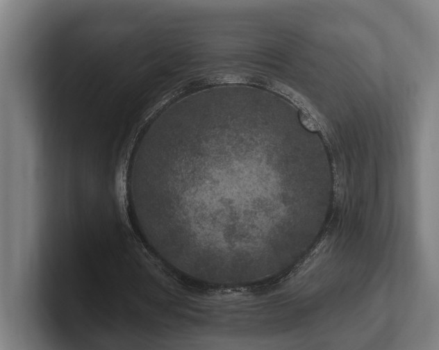 X0000102360386200808011457