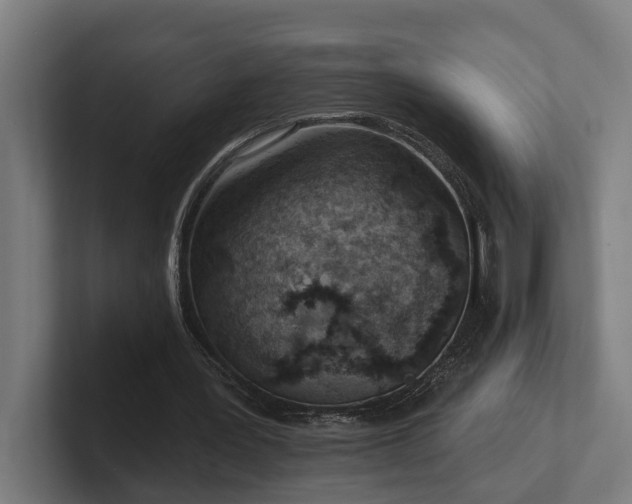 X0000102360387200808011457