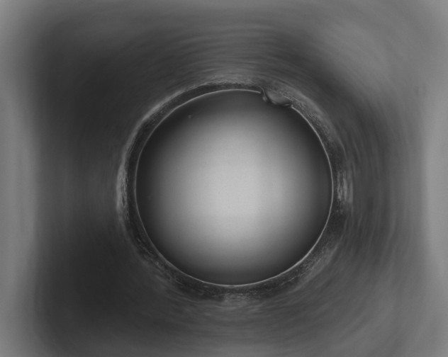 X0000102360388200808011457