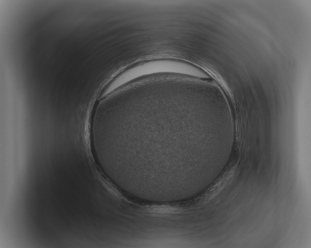 X0000102360389200808011457