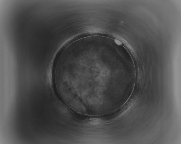 X0000102360391200808011457