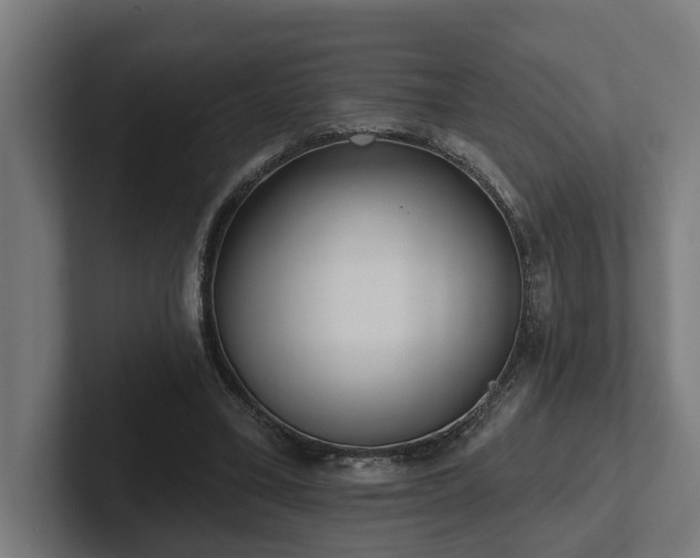 X0000102360395200808011457