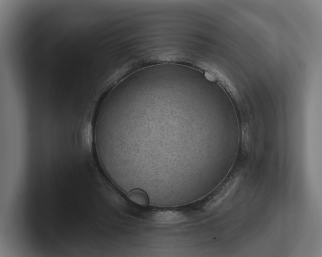 X0000102360397200808011457