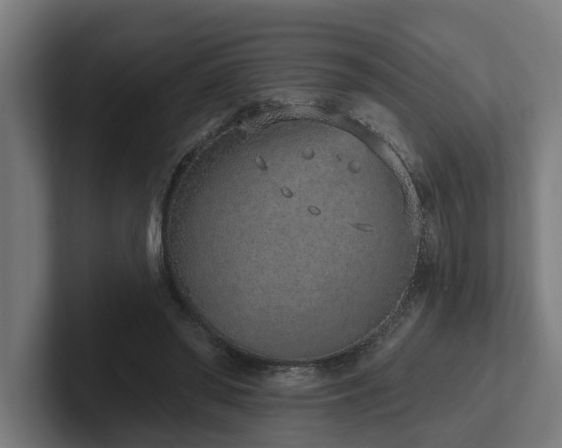 X0000102360398200808011457
