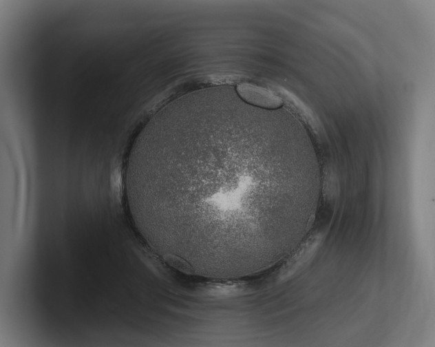X0000102360405200808011457