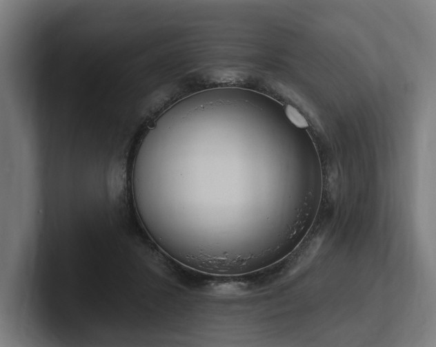 X0000102360407200808011457