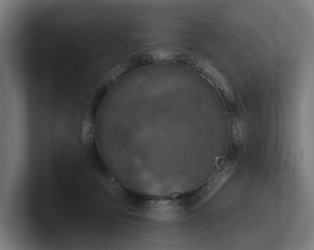 X0000102360419200808011457