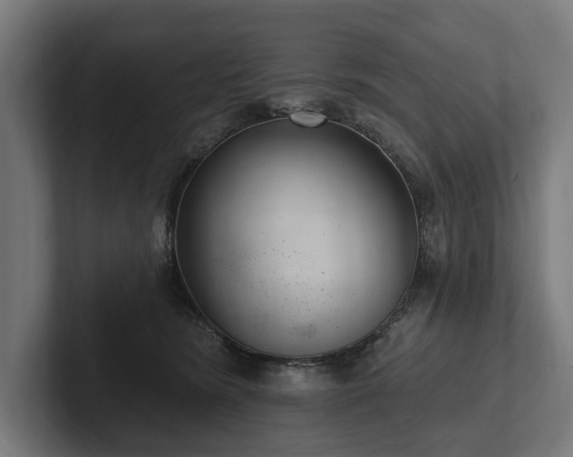 X0000102360420200808011457