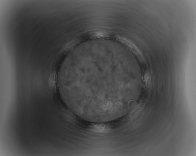 X0000102360423200808011456