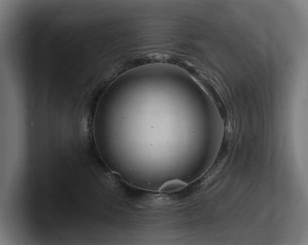 X0000102360424200808011456