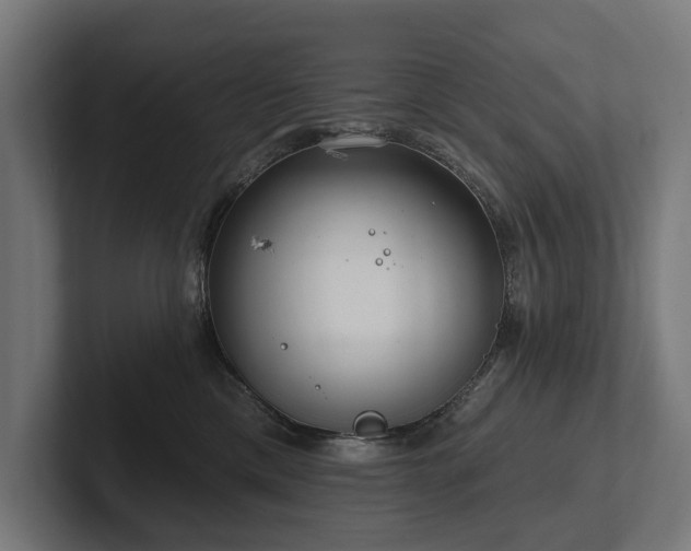 X0000102360425200808011456