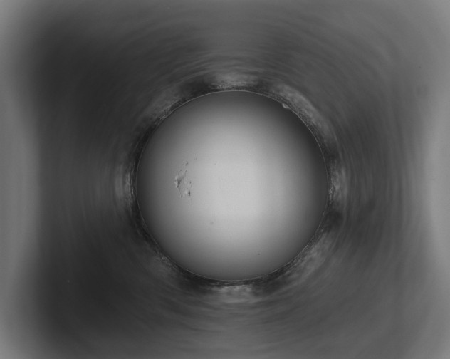 X0000102360426200808011456