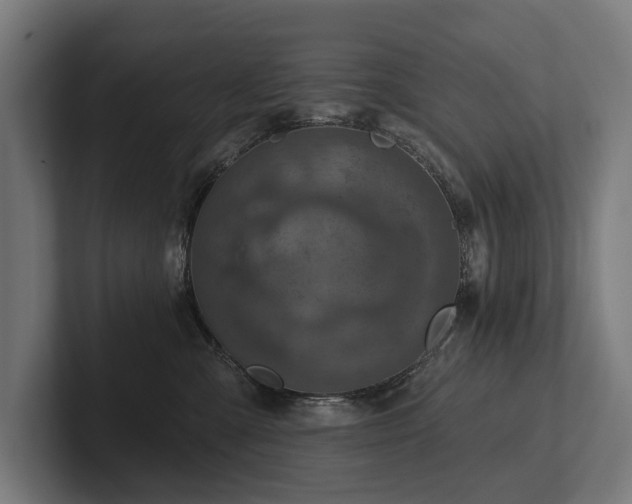X0000102360427200808011456