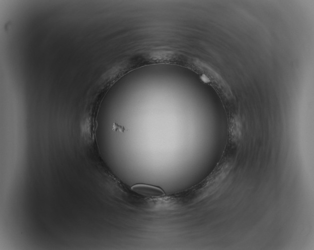 X0000102360428200808011456