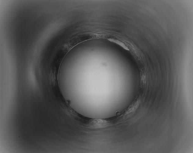 X0000102360429200808011456