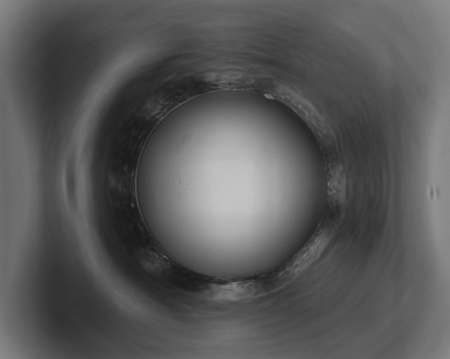X0000102360430200808011456