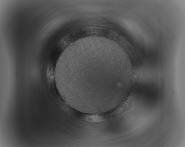 X0000102360431200808011456