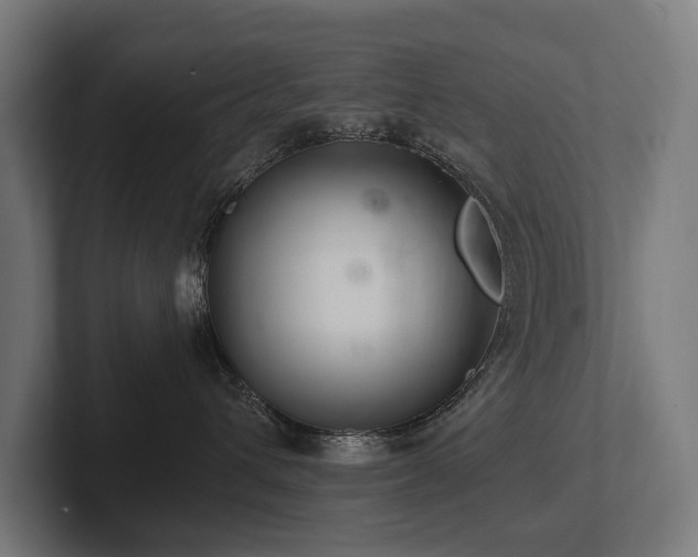 X0000102360432200808011456