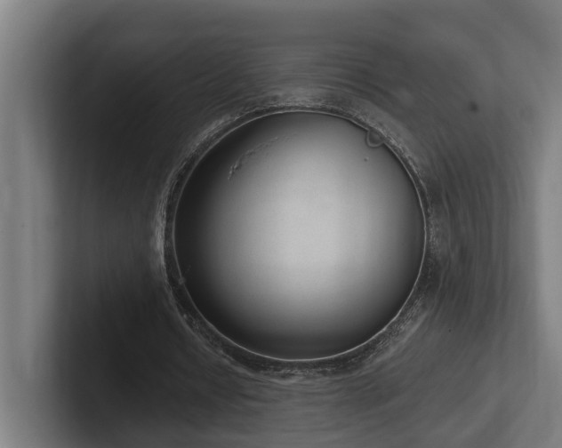 X0000102360434200808011456