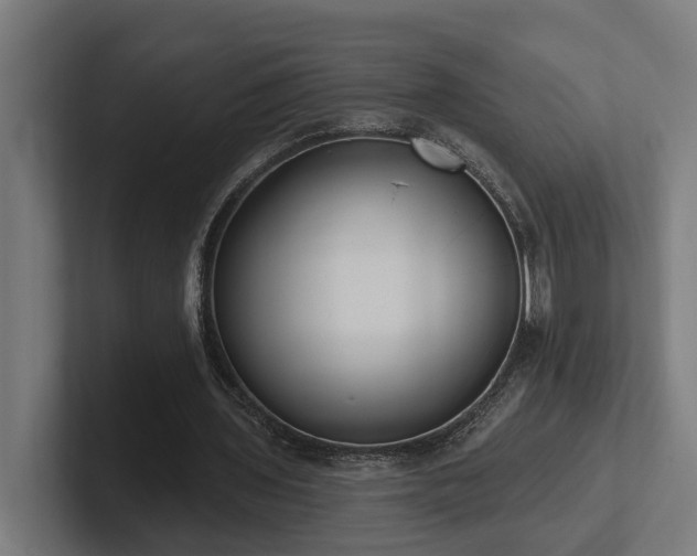 X0000102360435200808011456