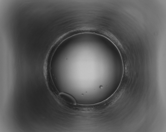 X0000102360436200808011456