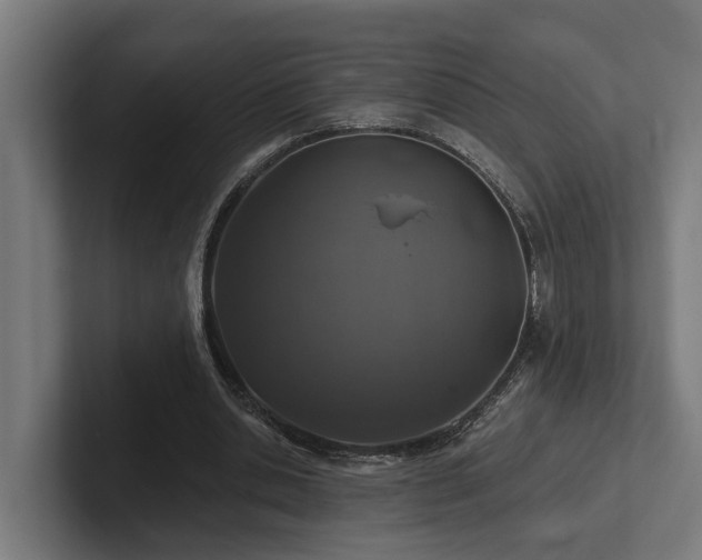 X0000102360438200808011456