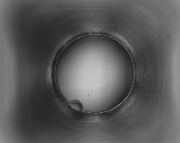 X0000102360439200808011456