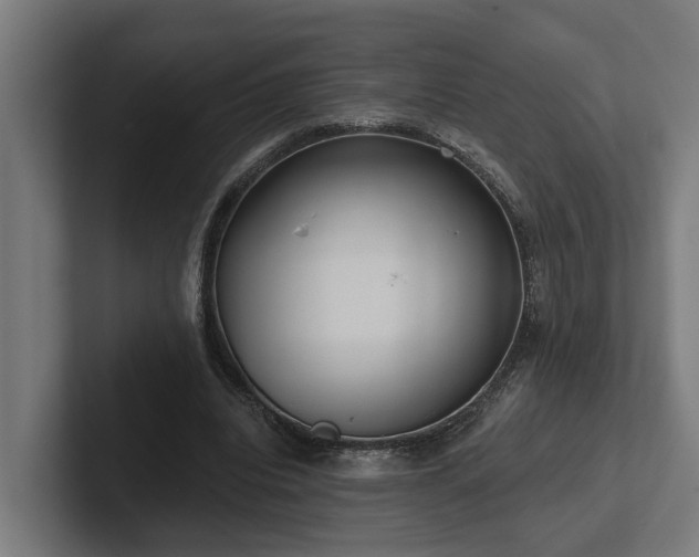 X0000102360440200808011456