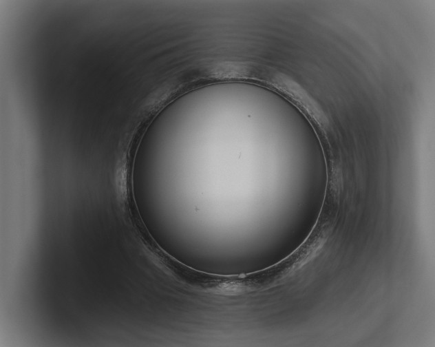 X0000102360441200808011456