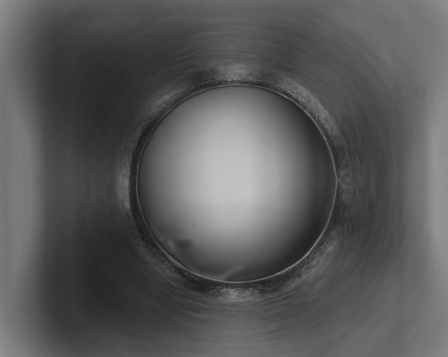 X0000102360442200808011456