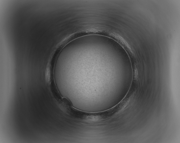 X0000102360444200808011456