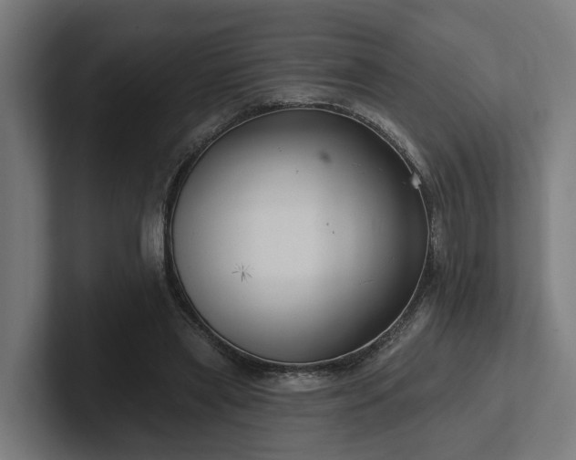 X0000102360445200808011456