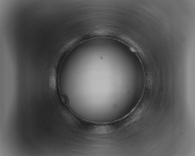 X0000102360446200808011456