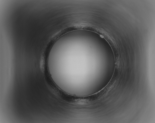 X0000102360448200808011456