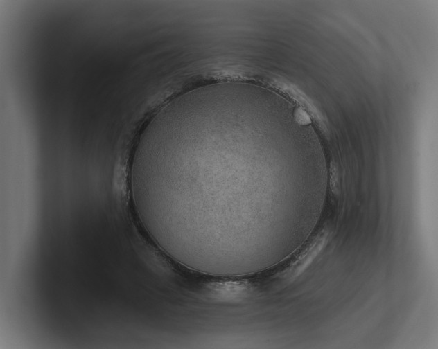 X0000102360449200808011456