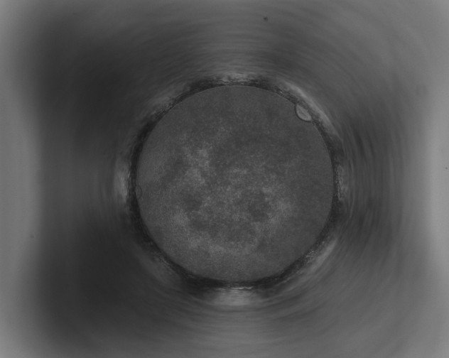 X0000102360451200808011456