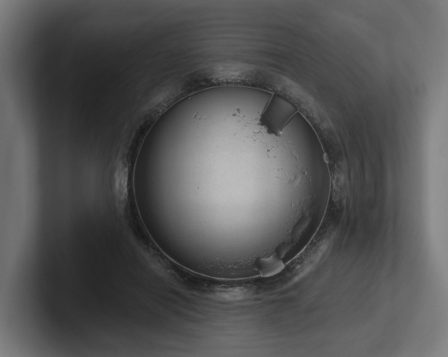 X0000102360454200808011456