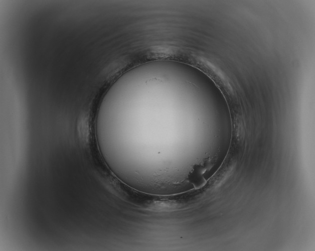 X0000102360455200808011456