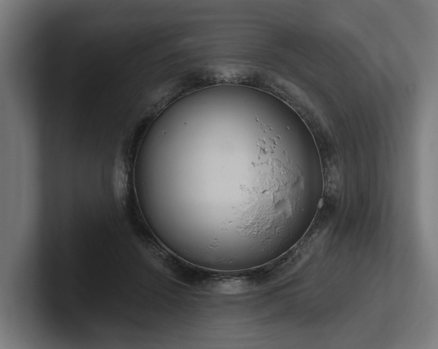 X0000102360456200808011456