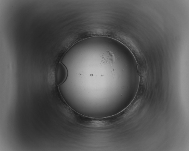 X0000102360457200808011456