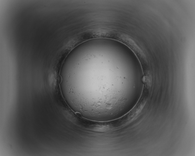 X0000102360458200808011456