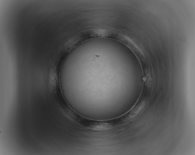 X0000102360459200808011456