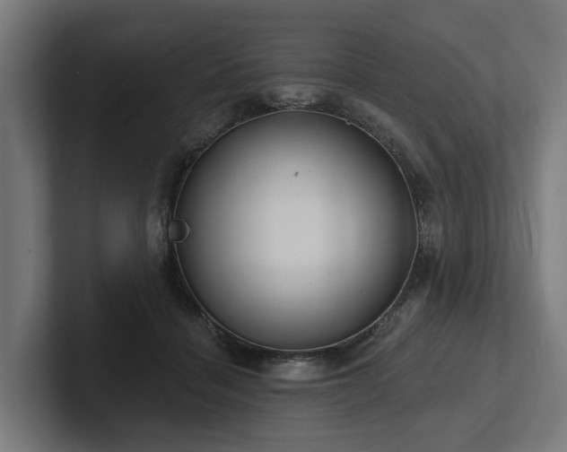 X0000102360460200808011456