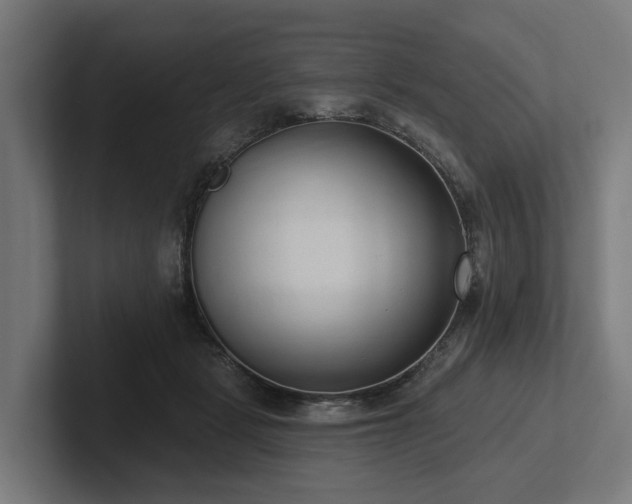 X0000102360461200808011456