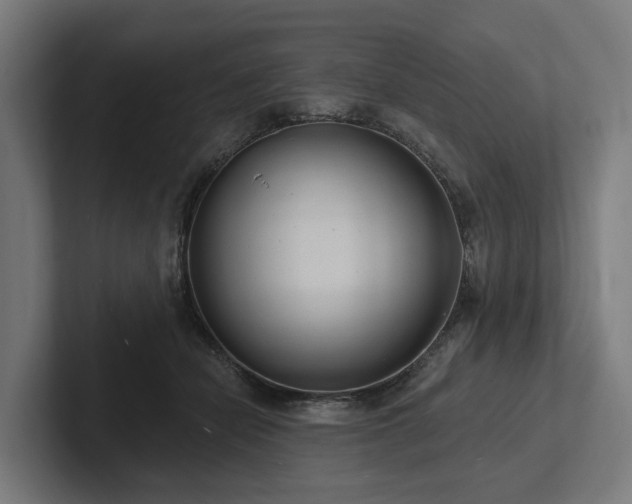X0000102360462200808011456