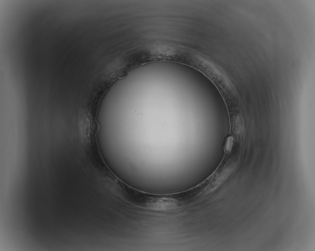 X0000102360463200808011456