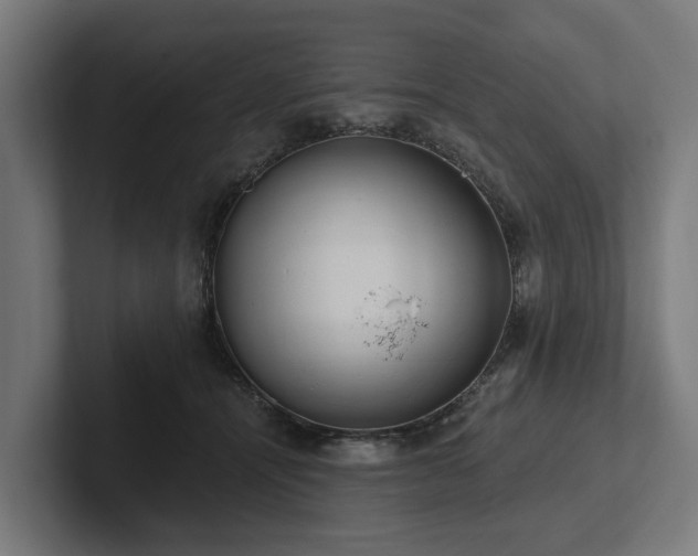 X0000102360464200808011456