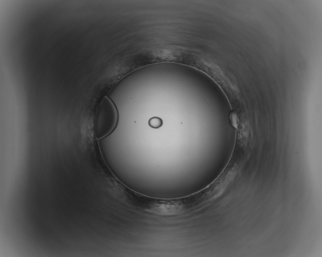 X0000102360466200808011456