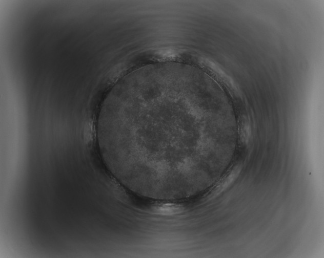 X0000102360467200808011456