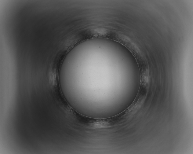X0000102360468200808011456